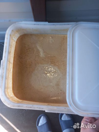 Алтайский мед