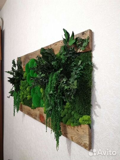 Картина из стабилизированного мха и растений