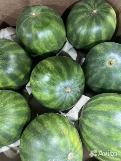 Мини арбуз свежи
