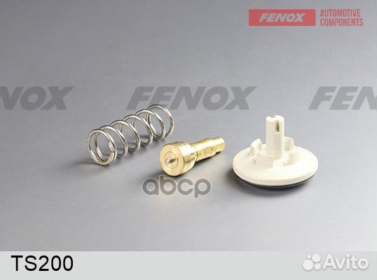 Термостат Audi A3 8Pa 04/ Vw Golf V 04- TS200