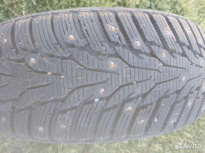 Nexen Winguard WinSpike WH62 205/55 R16