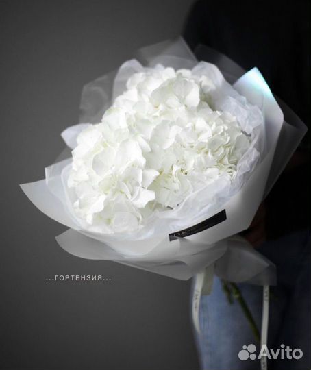 Гортензии с бесплатной доставкой