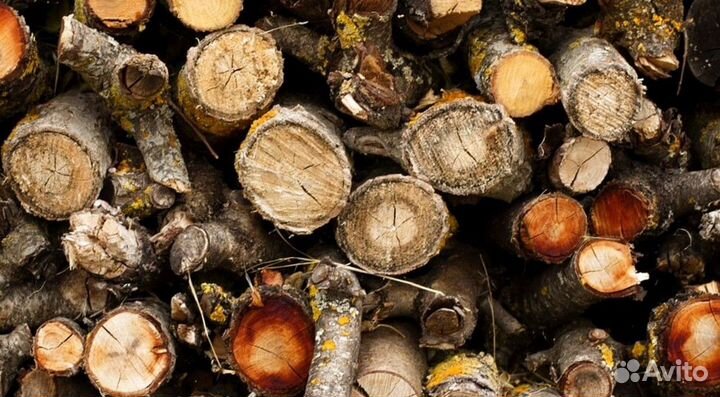 Дрова оптом