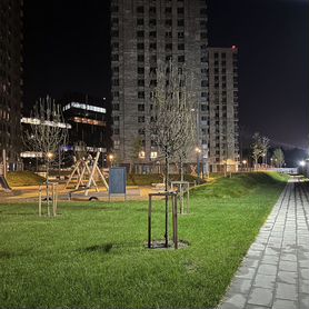 Квартира-студия, 35 м², 2 кровати