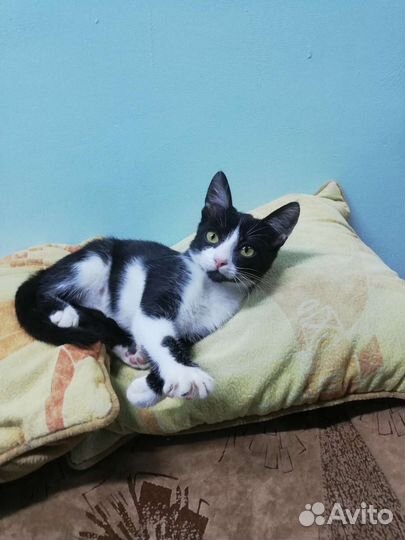 Ласкуша и красавица Мила ждёт Вас