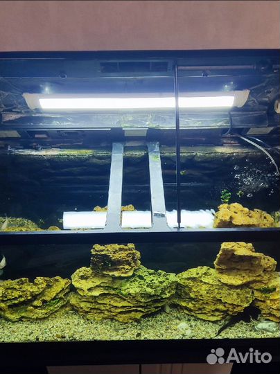 Аквариум с тумбой