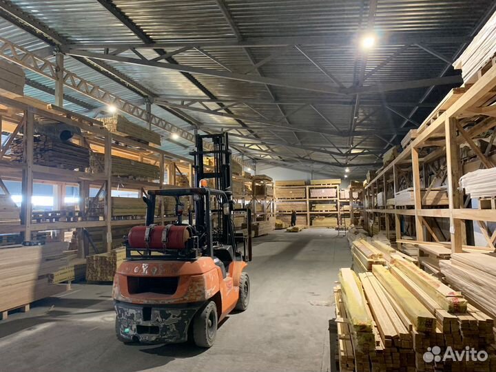 Планкен Хвоя (сосна)