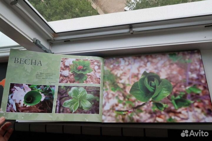 Фотоальбом Крым времена года