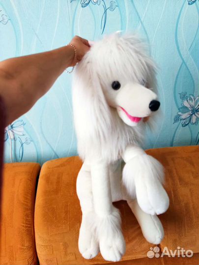 My Little Pony
