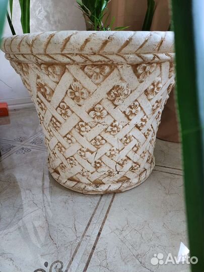 Большой цветок панданус