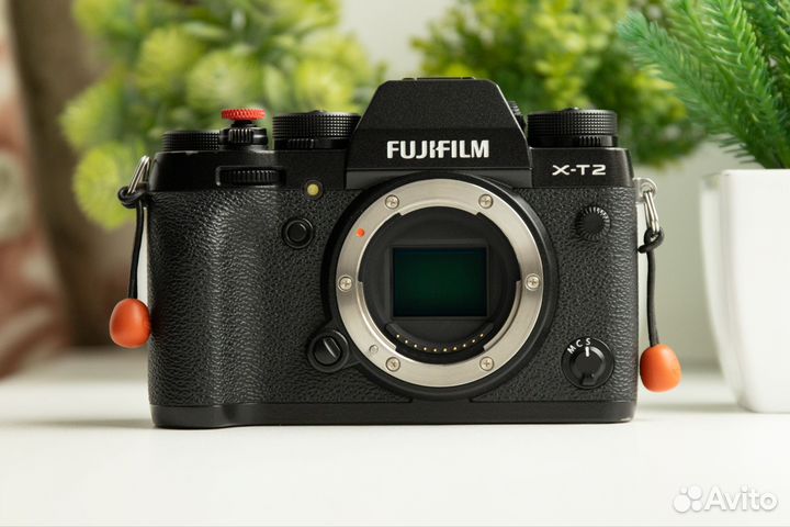 Fujifilm X-T2 (XT2) + Клетка