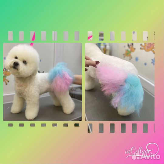 Стрижка собак