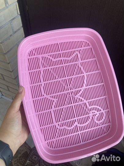 Лоток для котят