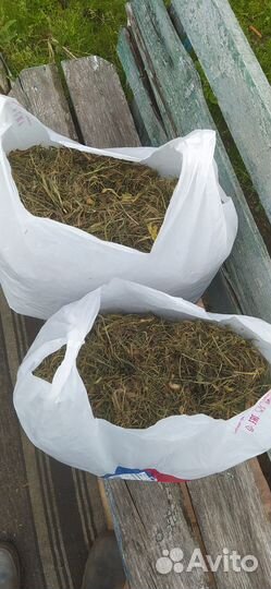 Сено покос 2024 года