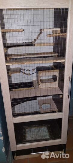 Клетка витрина