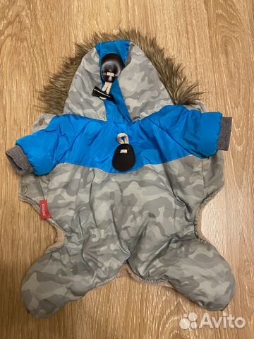 Одежда для собак