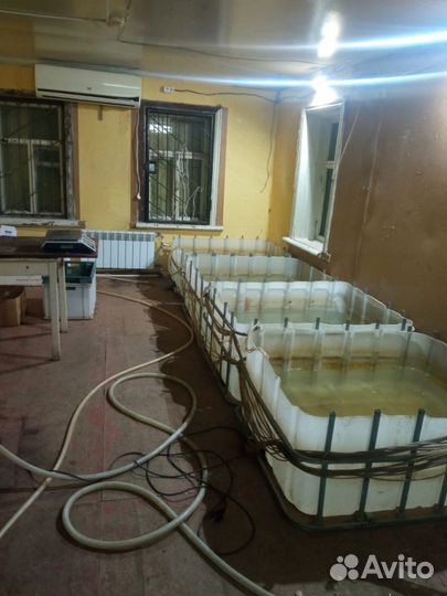 Продам готовый бизнес раки