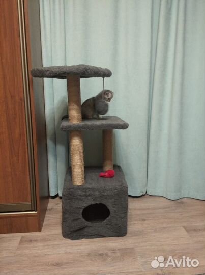 Домик для кошки с когтеточкой