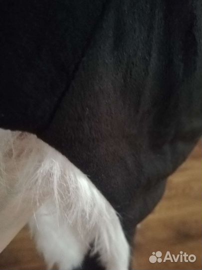 Зверошапка