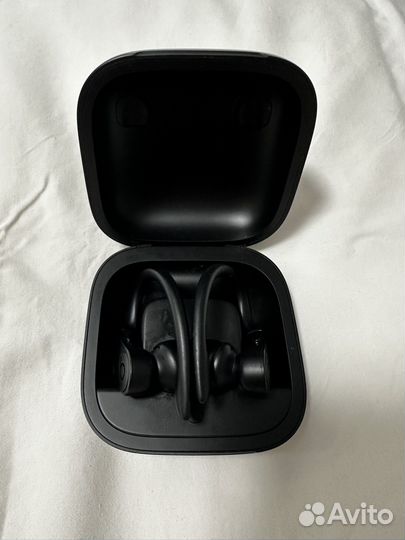 Apple Powerbeats Pro