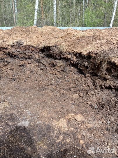 Конский навоз