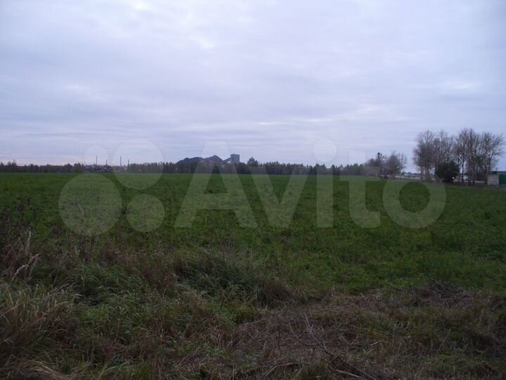 Участок 20 га (СНТ, ДНП)