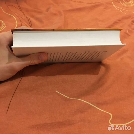 Лев Лосев Солженицын и Бродский как соседи