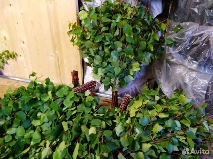 Веники березовые