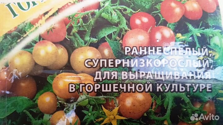 Рассада томатов горшечных красных