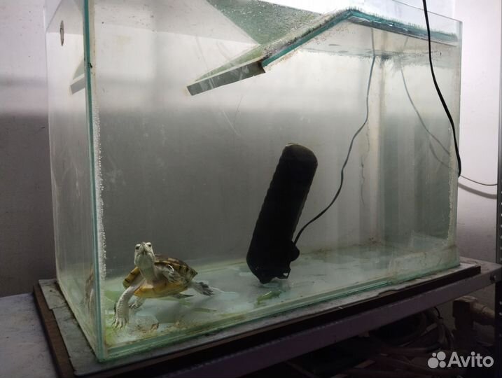 Аквариум