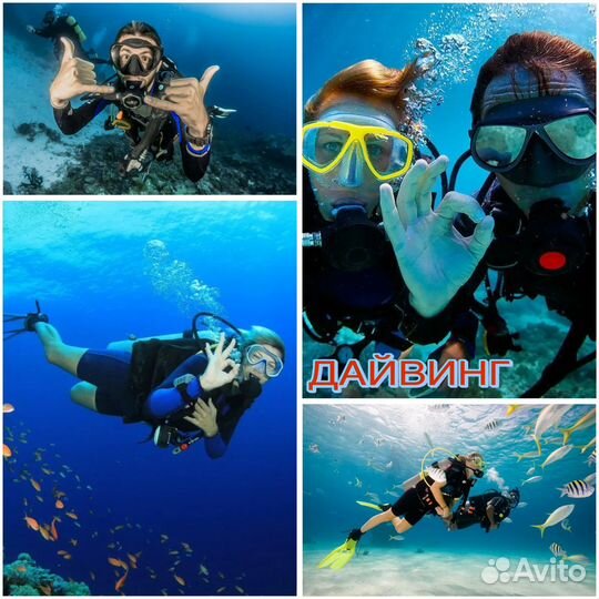 Экскурсии.Морские прогулки.Поездки в горы