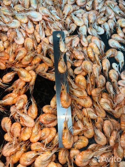 Креветка азовская с доставкой