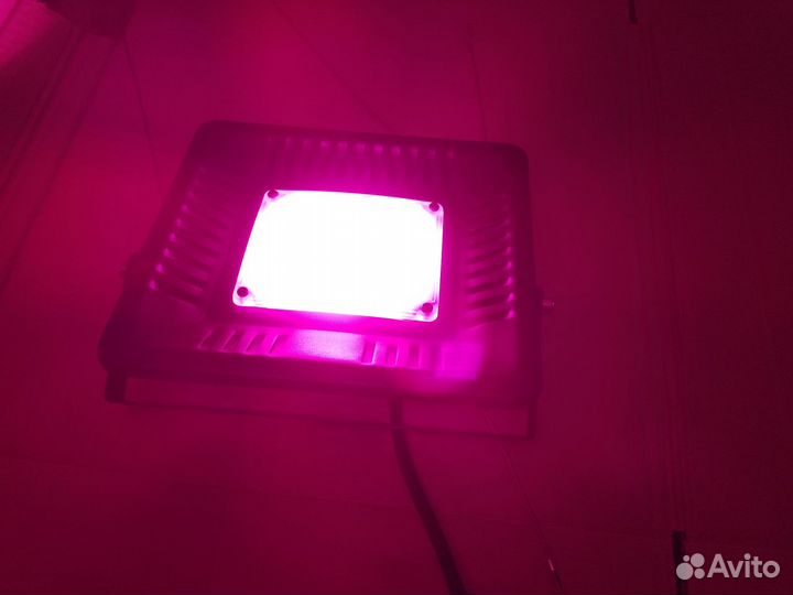 Фитопрожектор для растений светодиодный Эра Fito