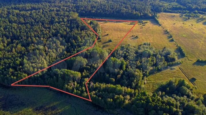 Участок 5,5 га (СНТ, ДНП)