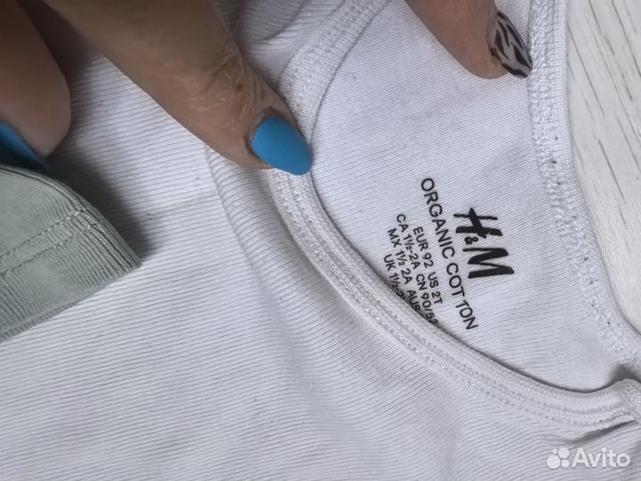 Набор бодиков hm 92