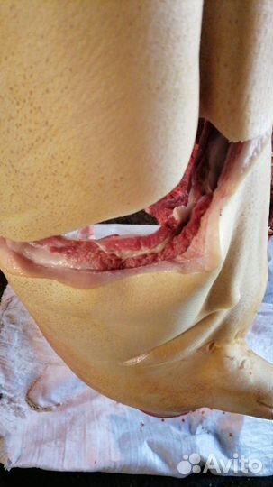 Мясо свинина домашняя