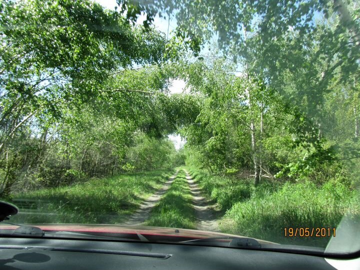 Дом 40 м² на участке 25 сот.