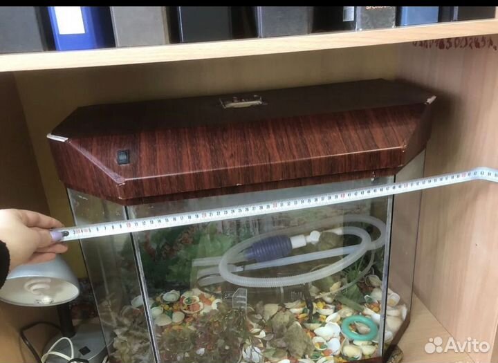 Аквариум