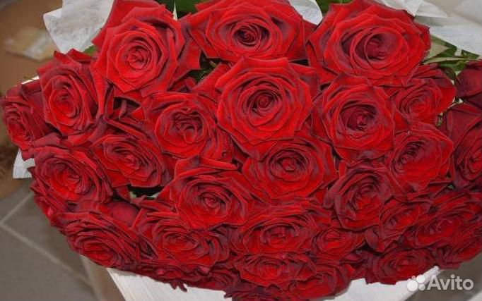 Красная Роза