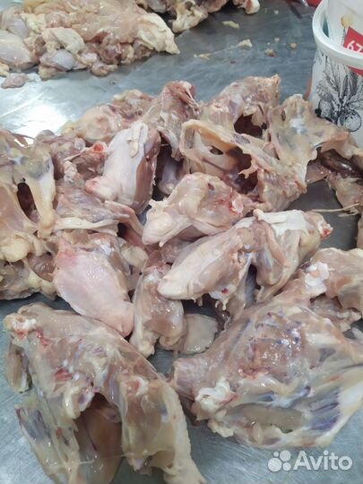 Еда животным