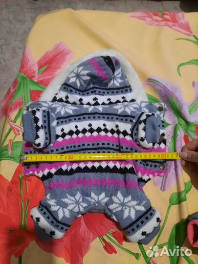 Одежда для собак мелких пород