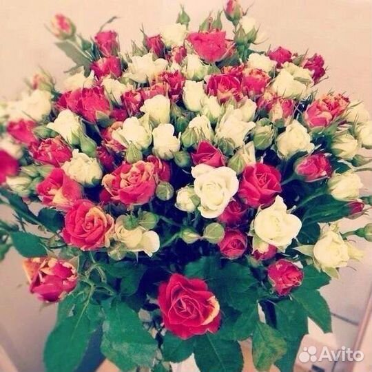 Цветы розы букет