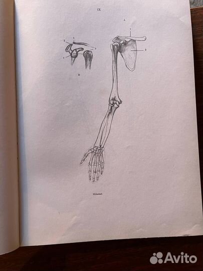 Книги по изобразительному искусству