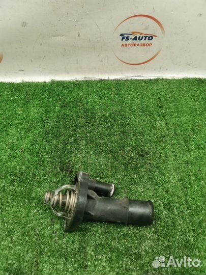 Корпус термостата Ford Focus 2 хетчбэк 2.0 aoda