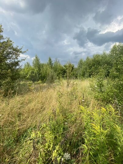 Участок 6 сот. (ИЖС)