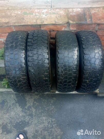 Accelera Gamma 175/70 R13 20B