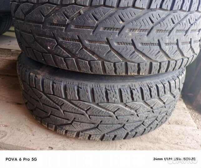 Tigar Winter 205/65 R16 95H