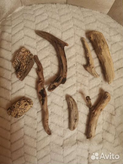 Коряги. Дрифтвуд