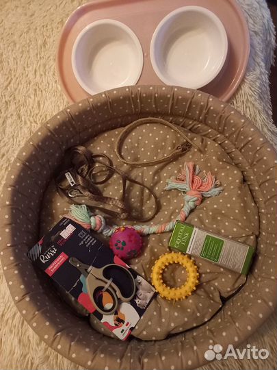 Вещи для маленьких собак