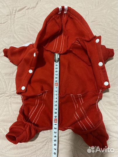 Одежда и инструменты для маленькой собачки